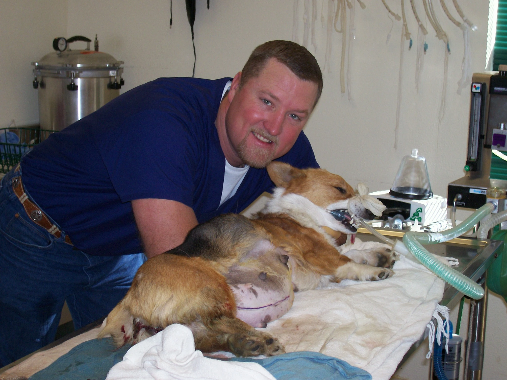Lazy 3 Animal Care